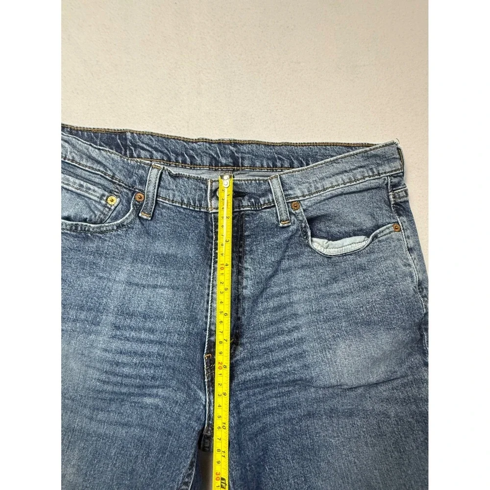 Levis levis 541